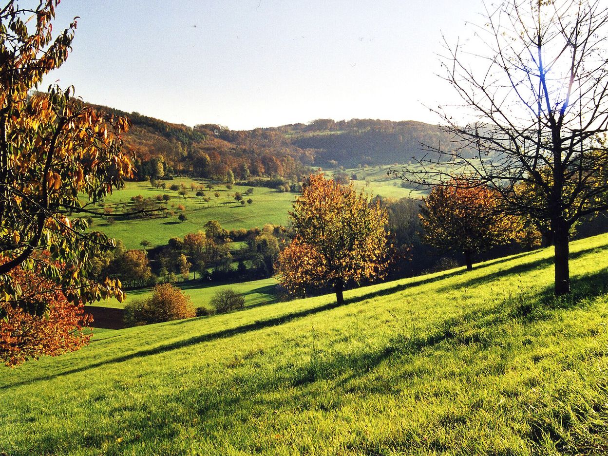 FHW, Zeiningen-Wegenstetten