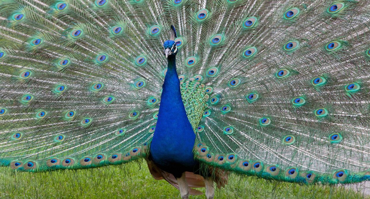 Tierpark Gnadenthal