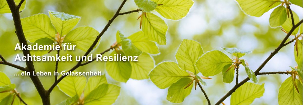 Akademie für Achtsamkeit & Resilienz
