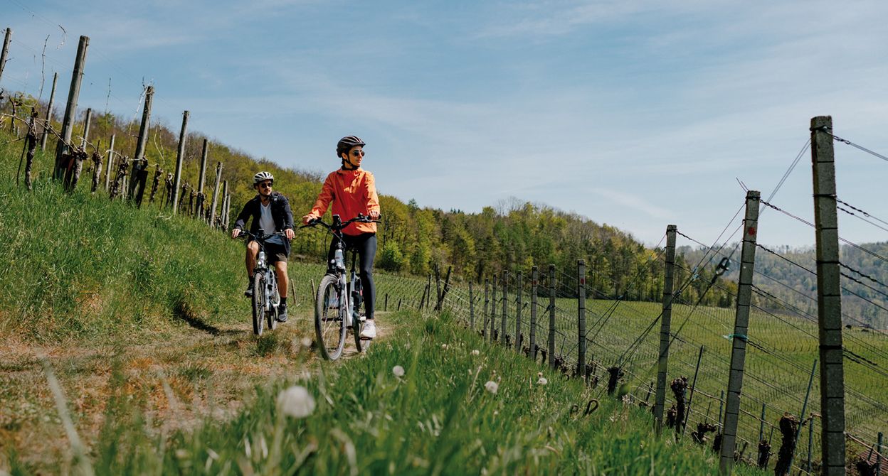 Radfahrerangebot Bad Zurzach