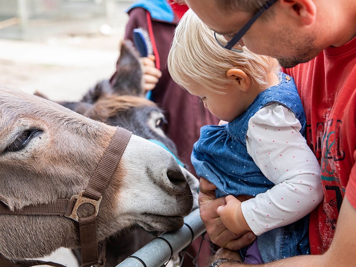 Tiere im Murimoos