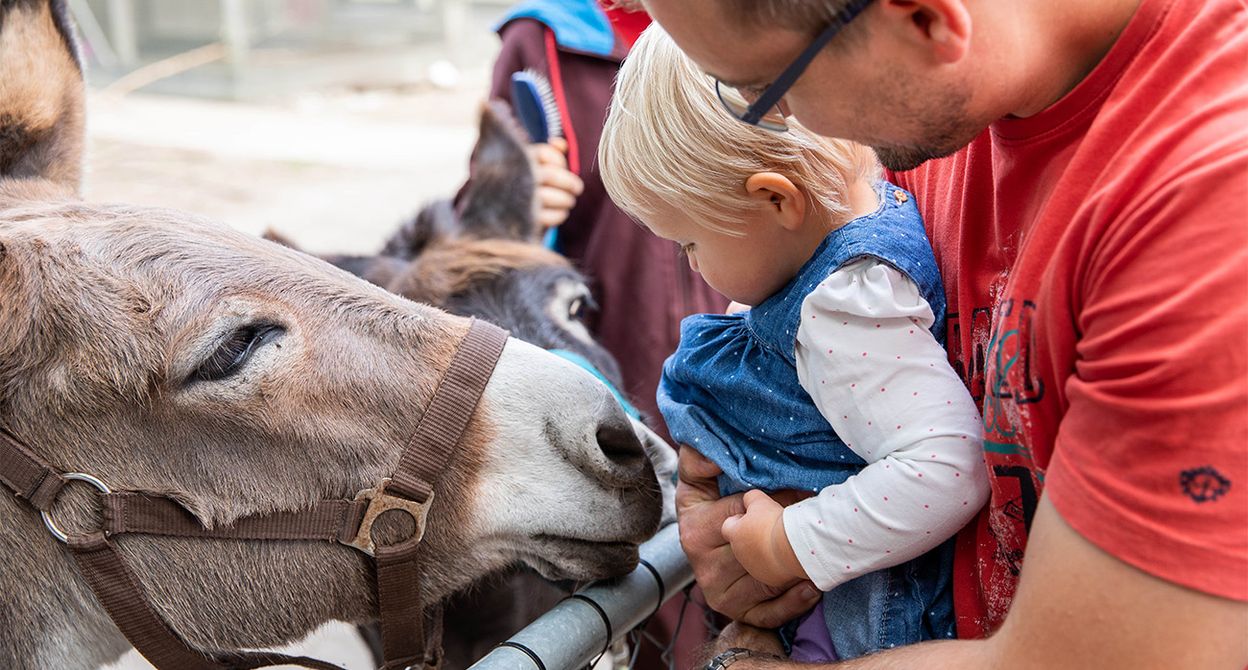 Tiere im Murimoos