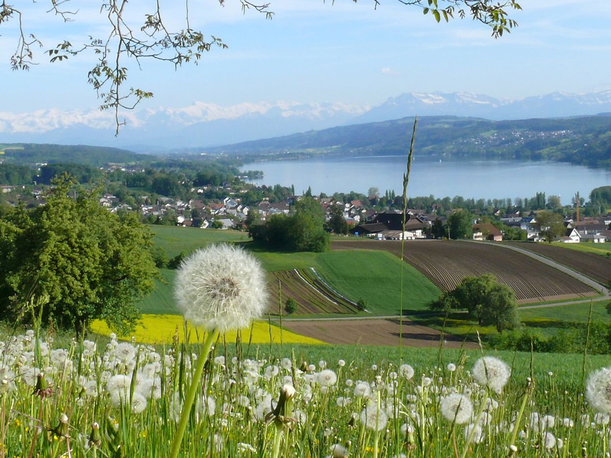 Regionale Route Seetal-Bözberg 