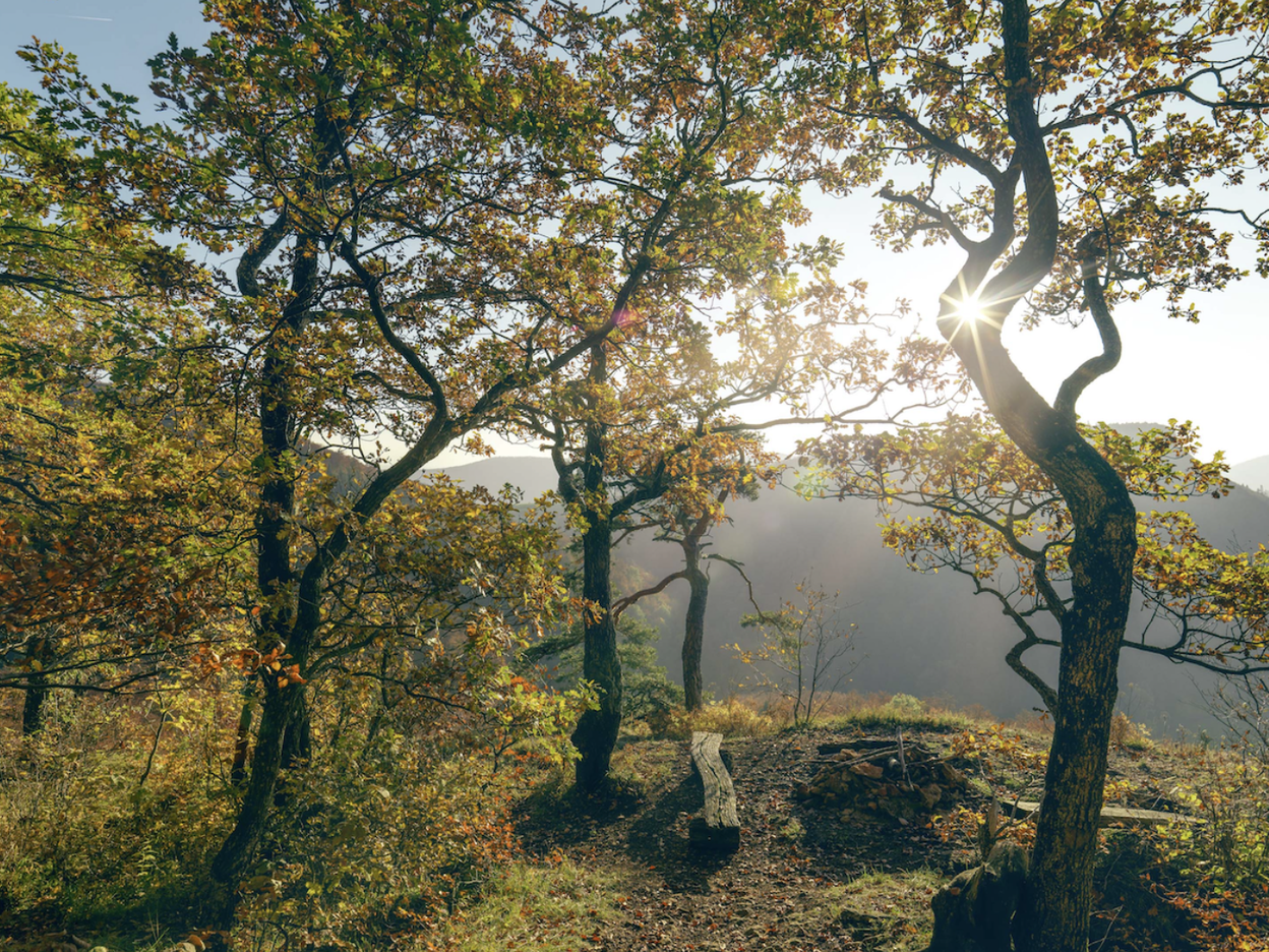 Herbstwanderungen im Aargau