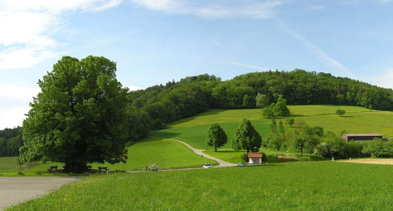 Dreipärke-Radtour