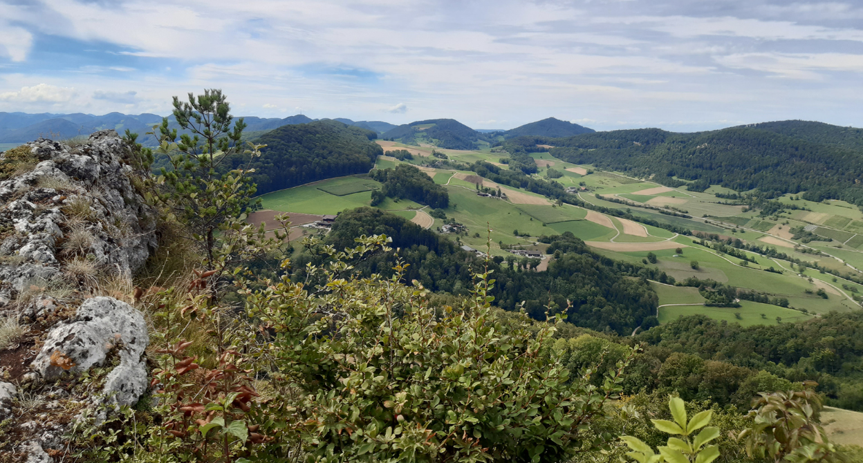 Wandern über dem Nebelmeer