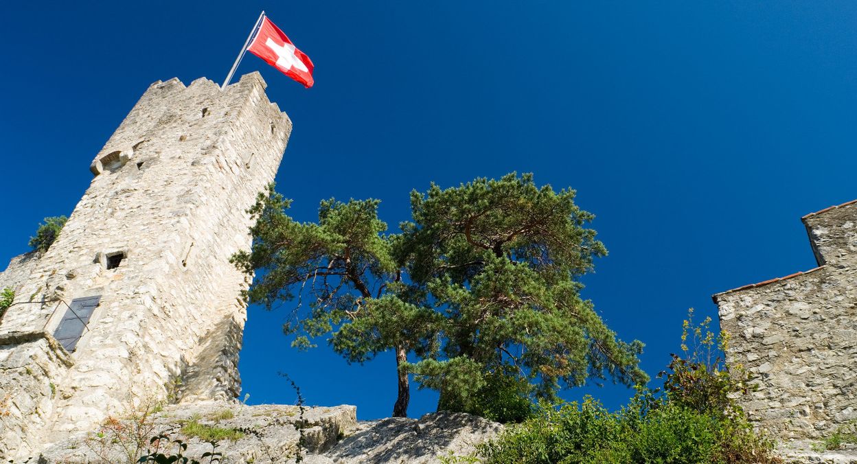 Ruine Stein