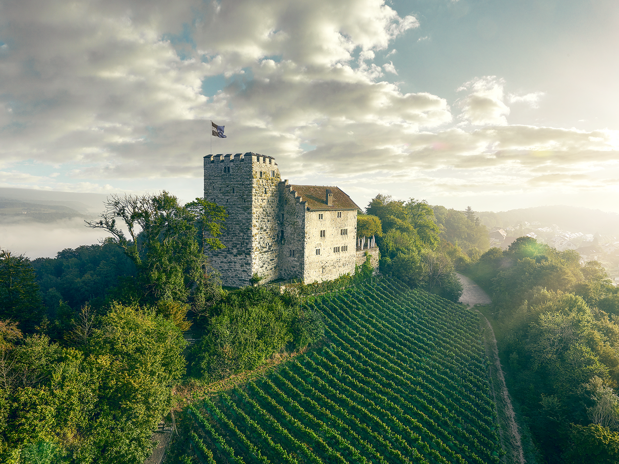 Schloss Habsburg