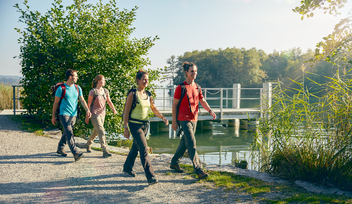 Seeuferweg Hallwilersee