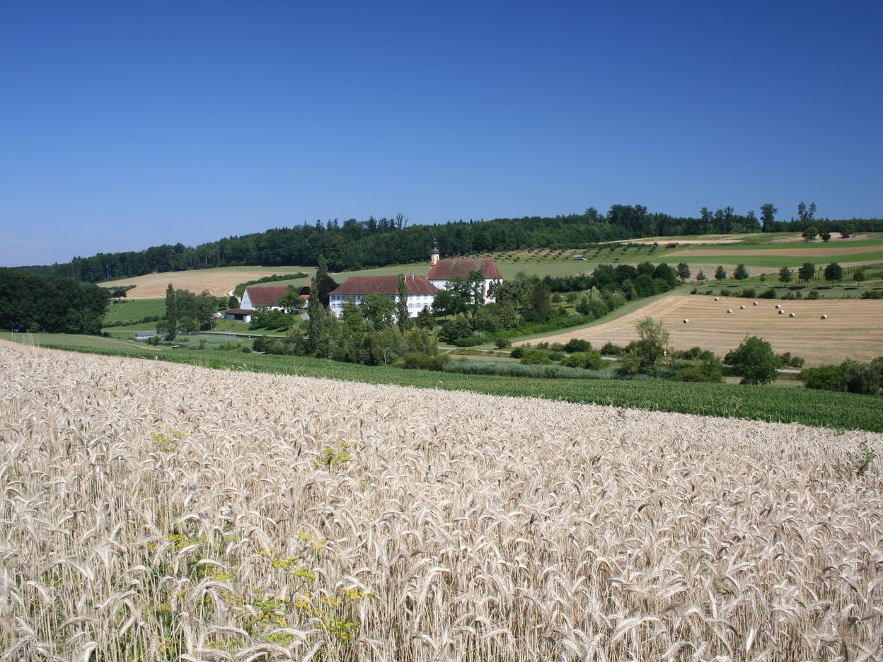 Stift Olsberg