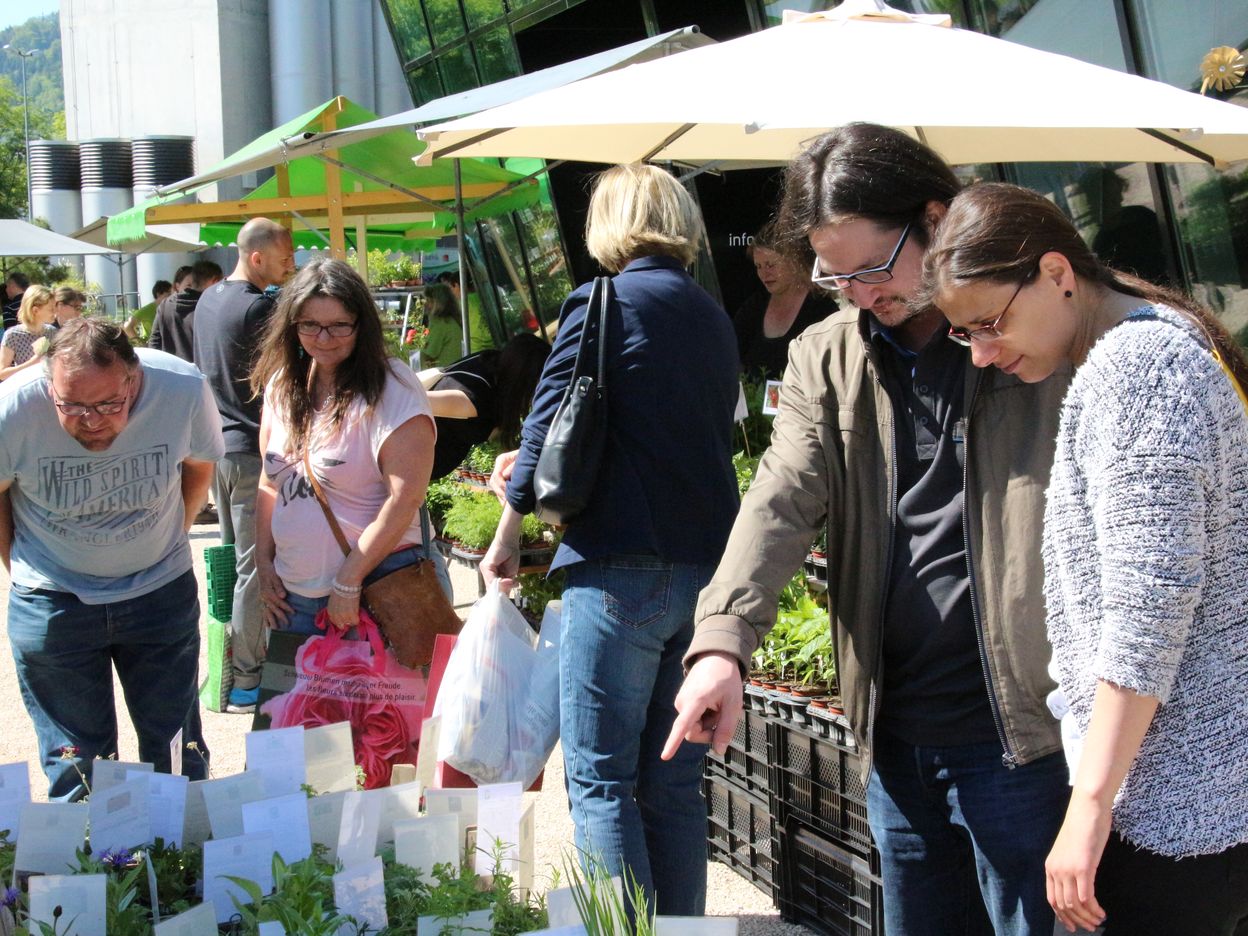 Bio- und Setzlingsmarkt 