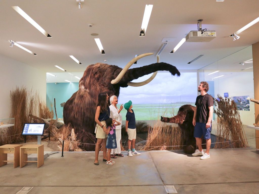 Naturama