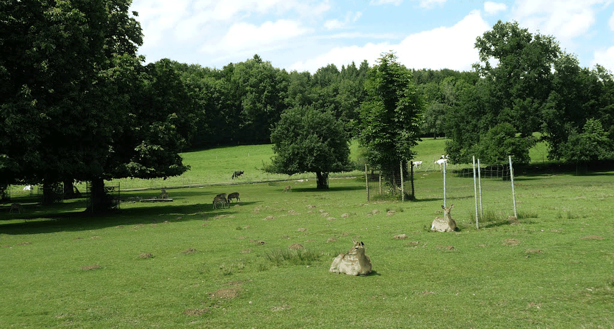 Tierpark Waltenschwil