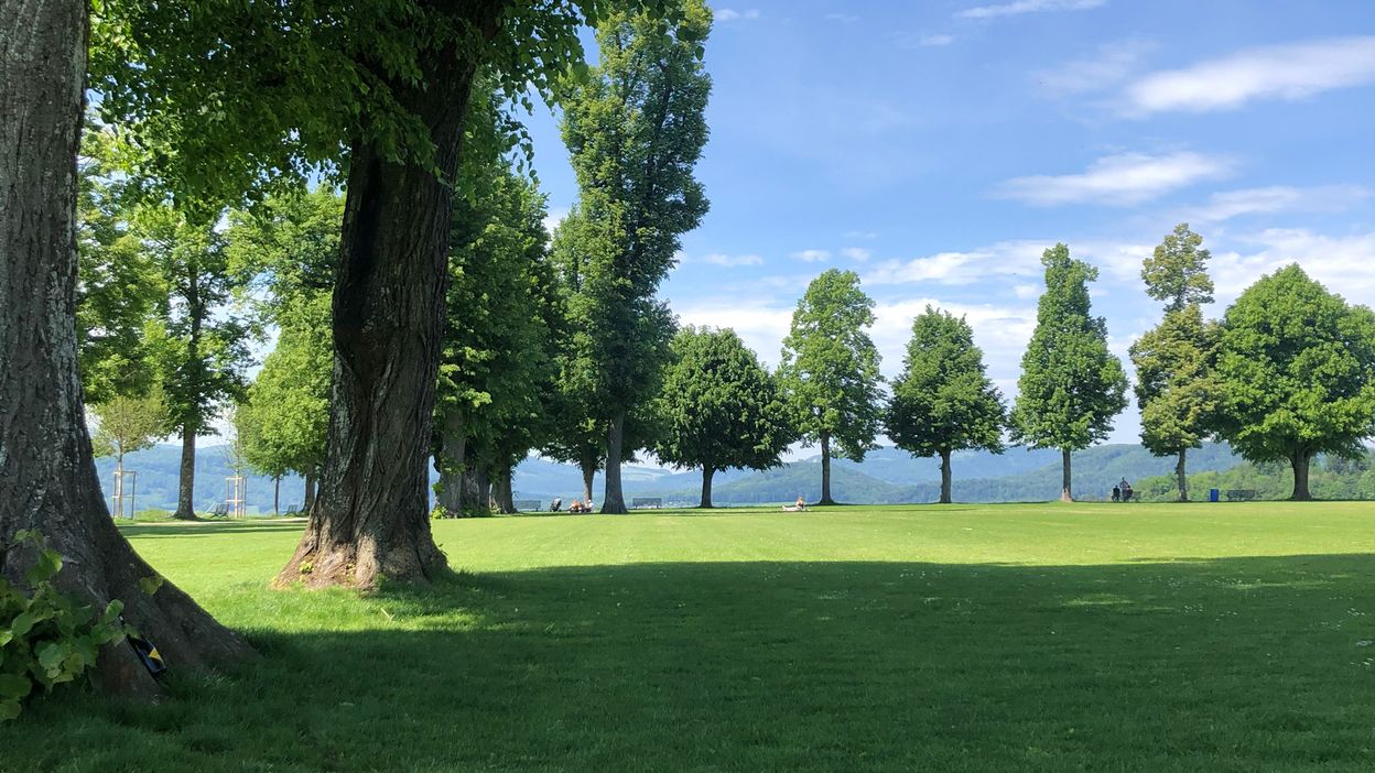 «Sowohl relaxen, als auch feiern auf dem Heitere» Zofingen