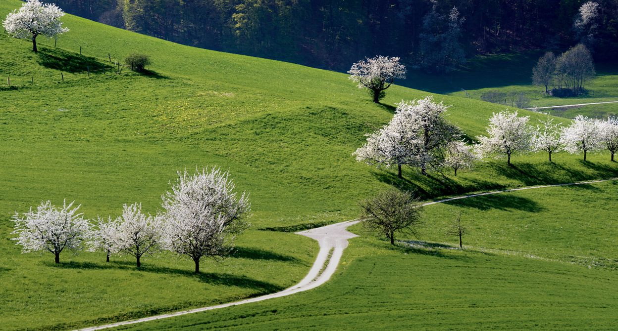 Mandacher Bänklirundweg