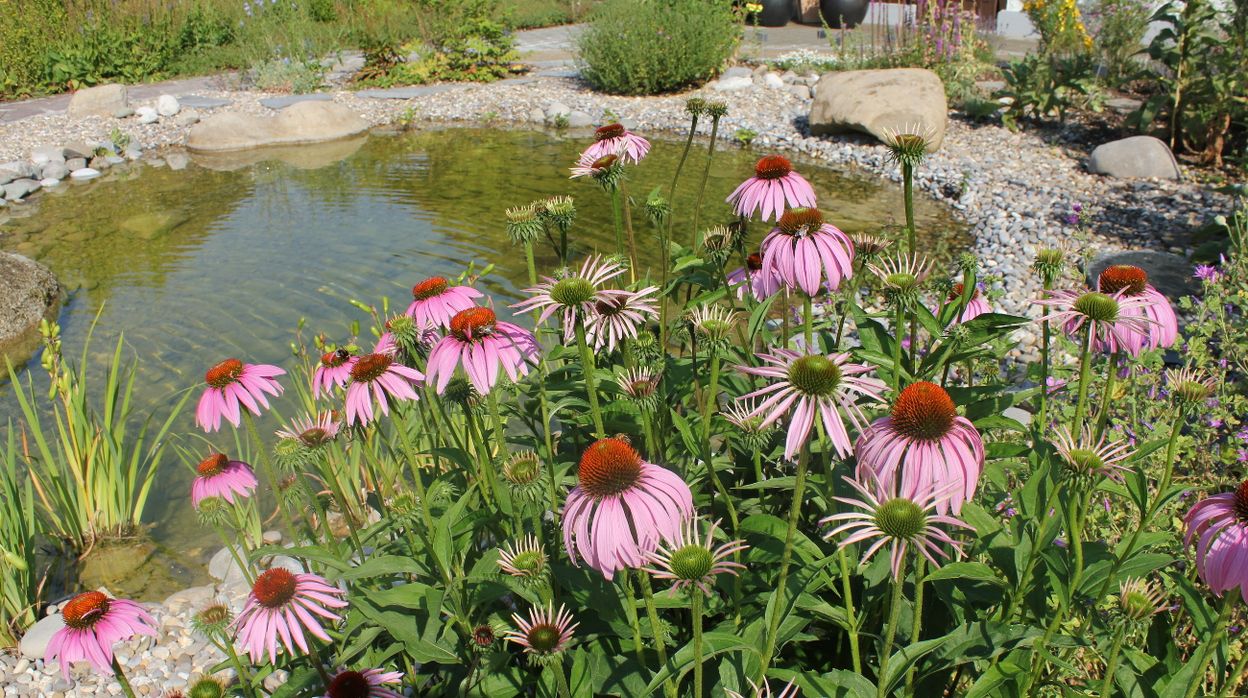 Achtsamkeitsgarten und Kneipp-Pfad