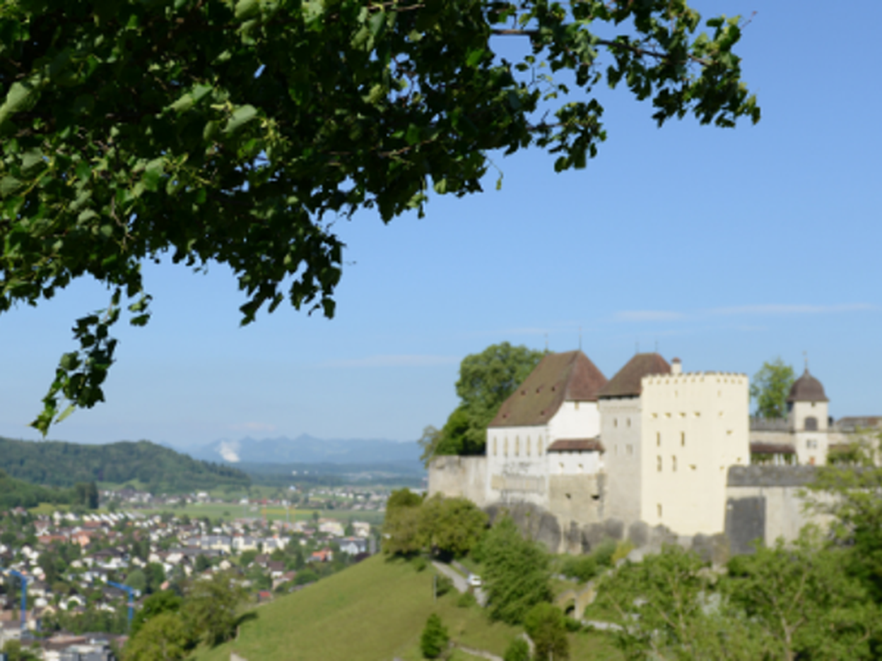 Lenzburg Seetal - Attraktiver Lebens- und Arbeitsraum an zentraler Lage