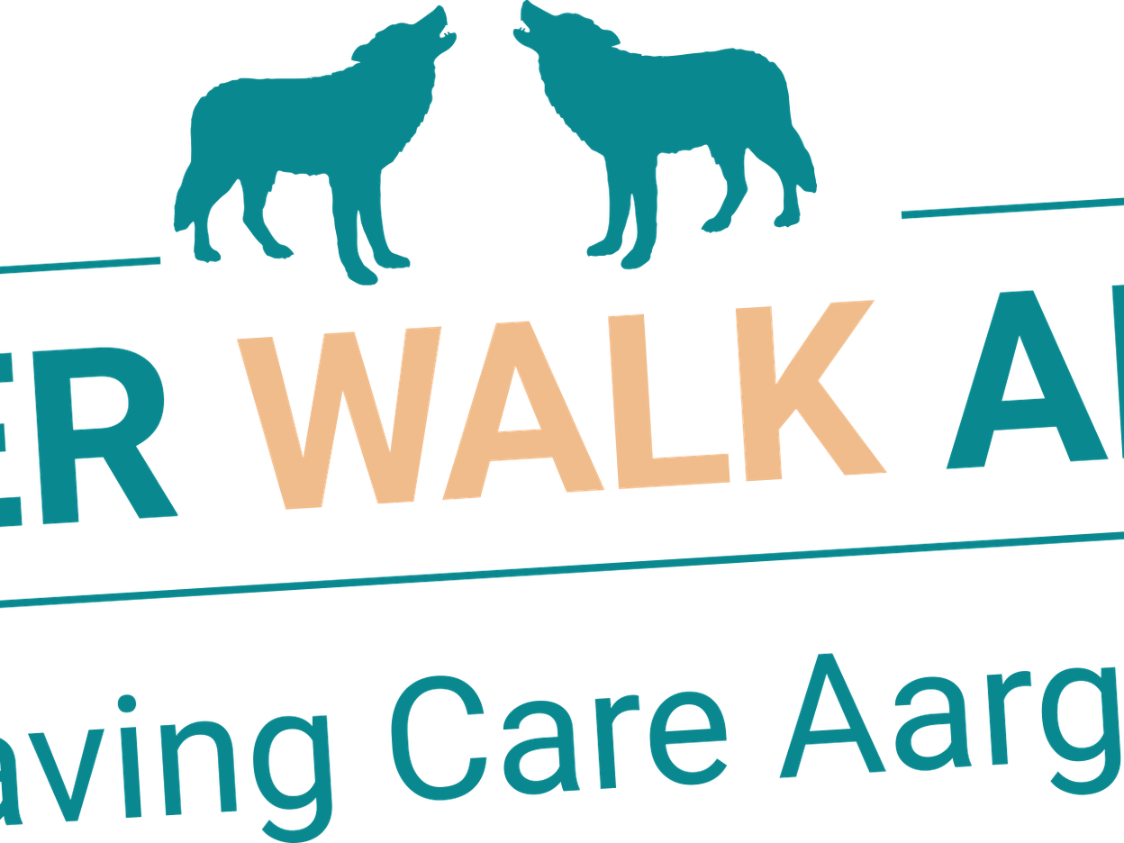 NEVER WALK ALONE - Leaving Care Aargau