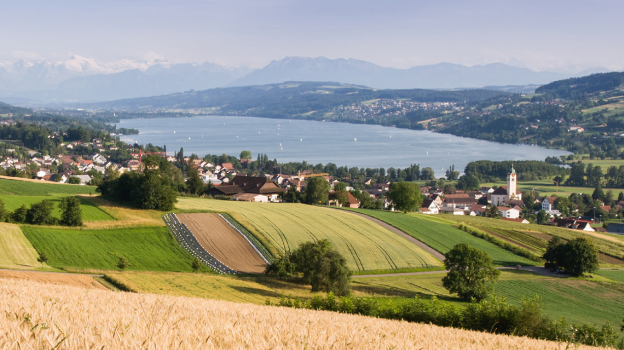 Region Hallwilersee