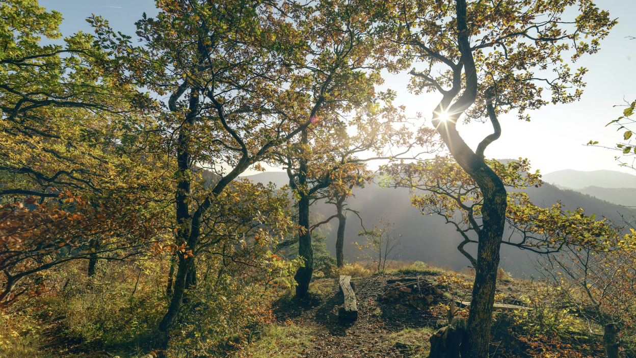 Herbstwanderungen im Aargau