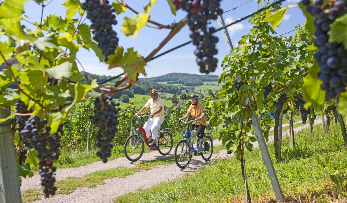 Vom Wasser zum Wein