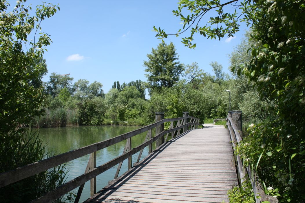 Naturpark «Grün 80» Basel